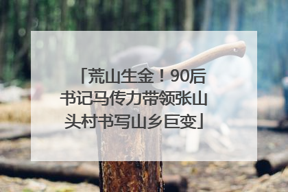 荒山生金！90后书记马传力带领张山头村书写山乡巨变
