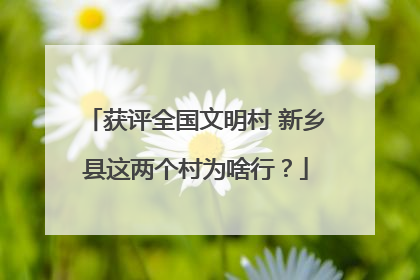 获评全国文明村 新乡县这两个村为啥行？