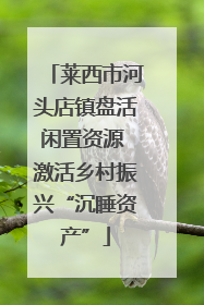 莱西市河头店镇盘活闲置资源 激活乡村振兴“沉睡资产”