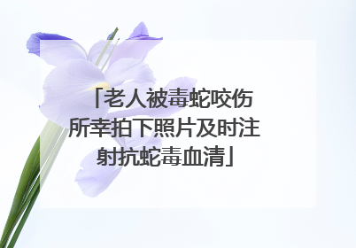 老人被毒蛇咬伤 所幸拍下照片及时注射抗蛇毒血清