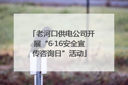 老河口供电公司开展“6·16安全宣传咨询日”活动