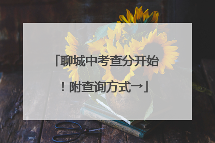 聊城中考查分开始！附查询方式→