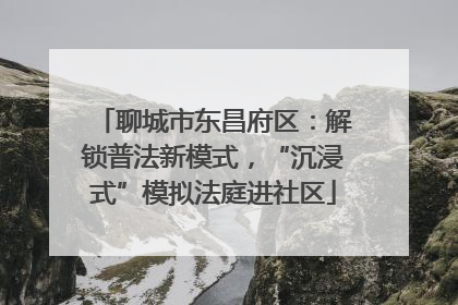 聊城市东昌府区：解锁普法新模式，“沉浸式”模拟法庭进社区