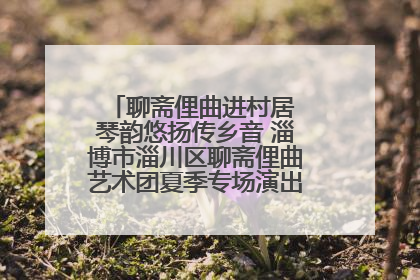 聊斋俚曲进村居 琴韵悠扬传乡音 淄博市淄川区聊斋俚曲艺术团夏季专场演出在杏园子村举行
