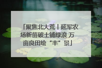聚焦北大荒丨延军农场新苗破土铺绿浪 万亩良田绘“丰”景