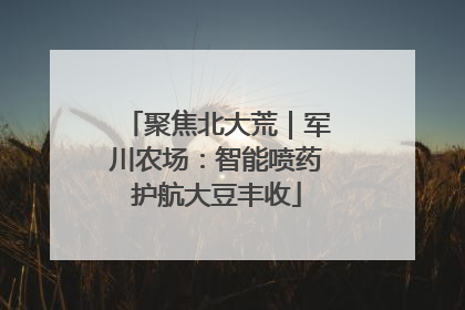 聚焦北大荒｜军川农场：智能喷药护航大豆丰收