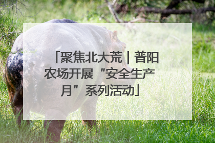 聚焦北大荒｜普阳农场开展“安全生产月”系列活动