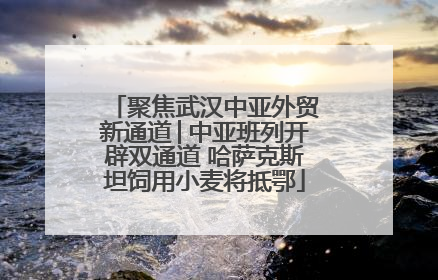 聚焦武汉中亚外贸新通道│中亚班列开辟双通道 哈萨克斯坦饲用小麦将抵鄂