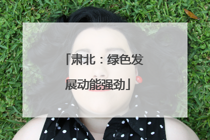 肃北：绿色发展动能强劲