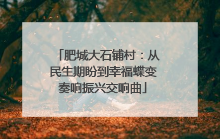 肥城大石铺村：从民生期盼到幸福蝶变奏响振兴交响曲