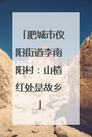 肥城市仪阳街道李南阳村：山楂红处是故乡