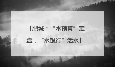 肥城：“水预算”定盘，“水银行”活水