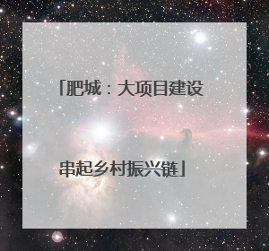 肥城：大项目建设串起乡村振兴链