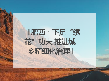 肥西：下足“绣花”功夫 推进城乡精细化治理