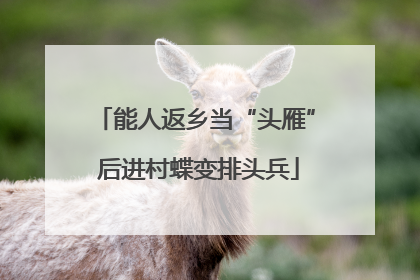 能人返乡当“头雁” 后进村蝶变排头兵