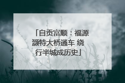 自贡富顺：福源灏特大桥通车 绕行半城成历史