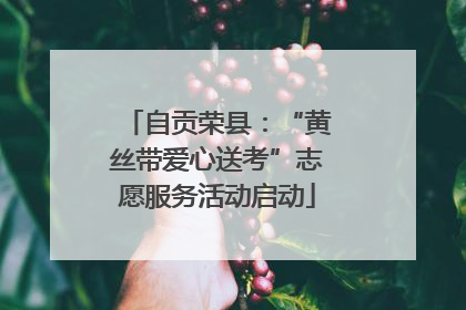 自贡荣县：“黄丝带爱心送考”志愿服务活动启动