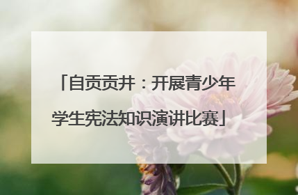 自贡贡井：开展青少年学生宪法知识演讲比赛
