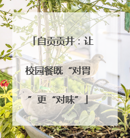 自贡贡井：让校园餐既“对胃”更“对味”