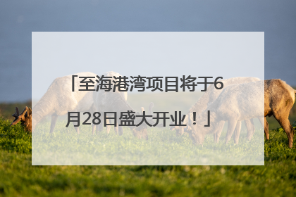 至海港湾项目将于6月28日盛大开业！