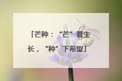 芒种：“芒”着生长，“种”下希望