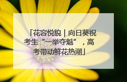 花容悦貌｜向日葵祝考生“一举夺魁”，高考带动鲜花热潮