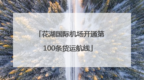 花湖国际机场开通第100条货运航线