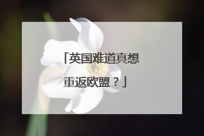 英国难道真想重返欧盟？