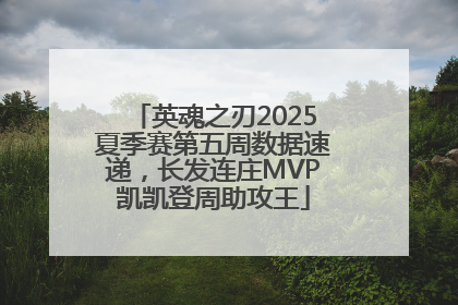 英魂之刃2025夏季赛第五周数据速递，长发连庄MVP凯凯登周助攻王