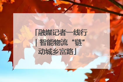 融媒记者一线行｜智能物流“链”动城乡富路
