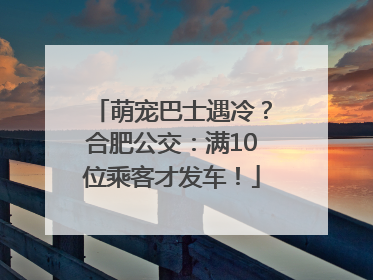 萌宠巴士遇冷？合肥公交：满10位乘客才发车！