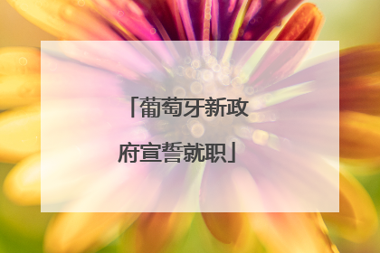 葡萄牙新政府宣誓就职