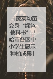 蔬菜幼苗变身“绿色教科书”！哈市各区中小学生展示种植成果