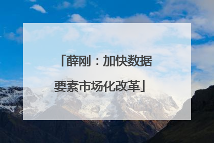 薛刚：加快数据要素市场化改革