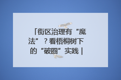 街区治理有“魔法”？看梧桐树下的“破圈”实践｜我在街区当书记