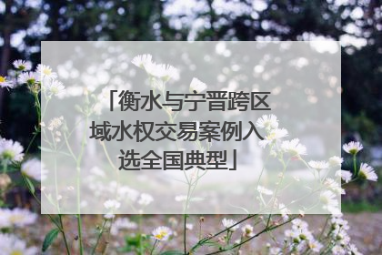 衡水与宁晋跨区域水权交易案例入选全国典型