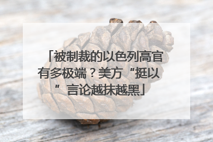 被制裁的以色列高官有多极端？美方“挺以”言论越抹越黑