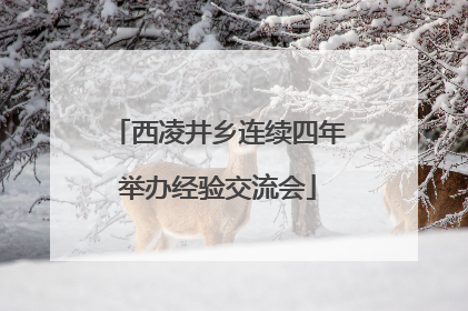 西凌井乡连续四年举办经验交流会