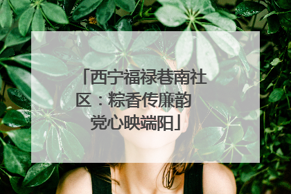 西宁福禄巷南社区：粽香传廉韵 党心映端阳