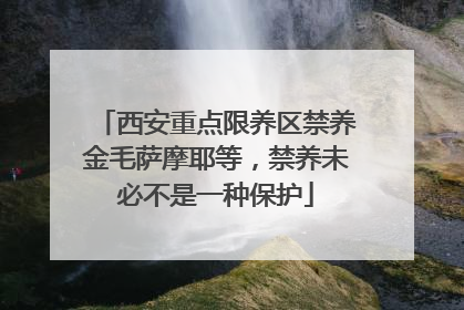 西安重点限养区禁养金毛萨摩耶等，禁养未必不是一种保护