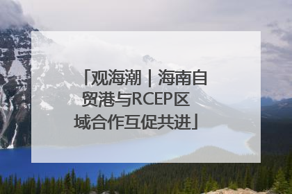 观海潮｜海南自贸港与RCEP区域合作互促共进
