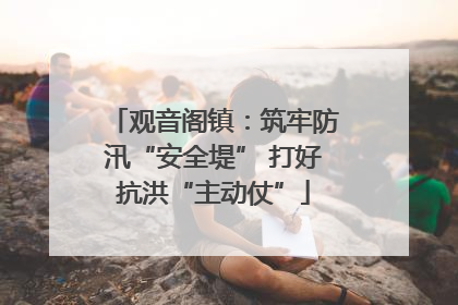 观音阁镇：筑牢防汛“安全堤” 打好抗洪“主动仗”