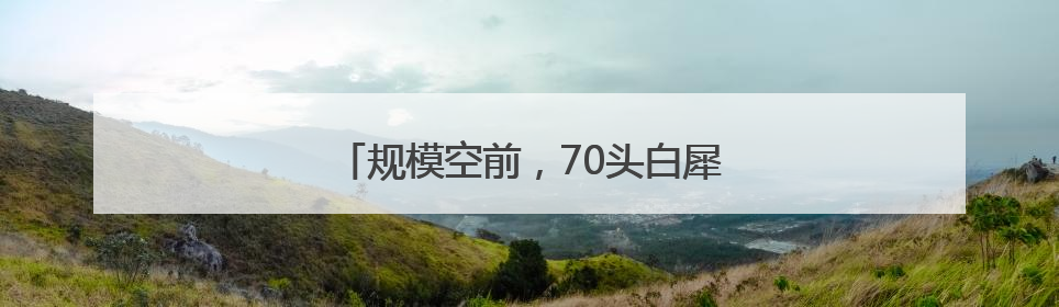 规模空前，70头白犀牛从南非运抵卢旺达