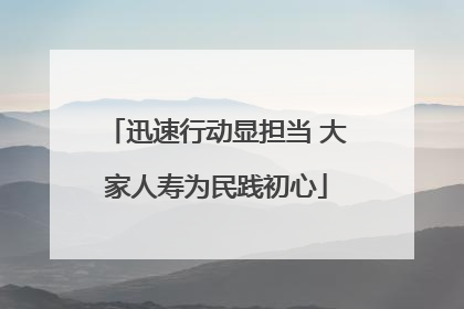 迅速行动显担当 大家人寿为民践初心