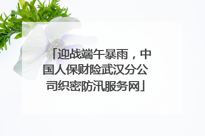 迎战端午暴雨，中国人保财险武汉分公司织密防汛服务网