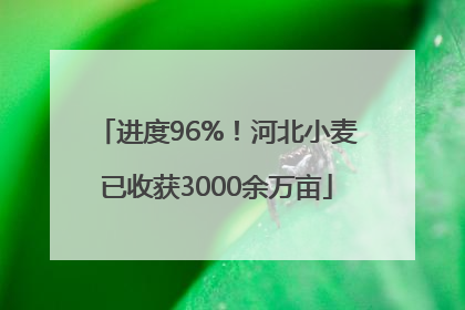 进度96%！河北小麦已收获3000余万亩