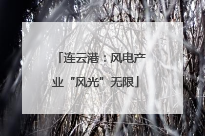 连云港：风电产业“风光”无限