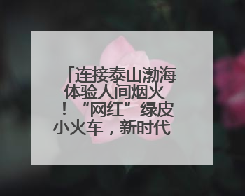 连接泰山渤海 体验人间烟火！“网红”绿皮小火车，新时代迎来新使命