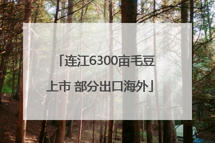 连江6300亩毛豆上市 部分出口海外