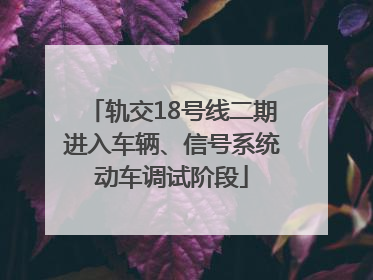 轨交18号线二期进入车辆、信号系统动车调试阶段